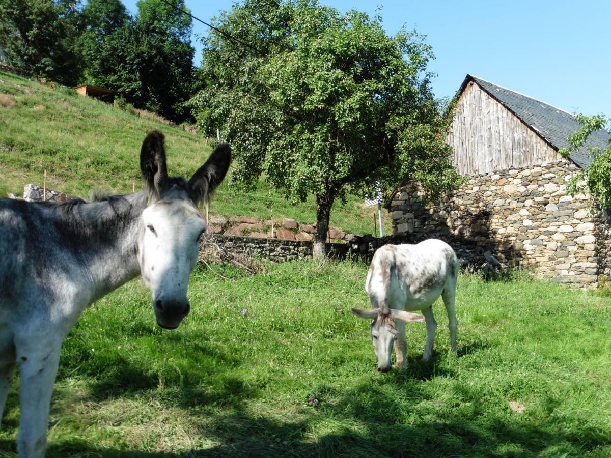 Binos Chalet De Barraou Bed & Breakfast エクステリア 写真