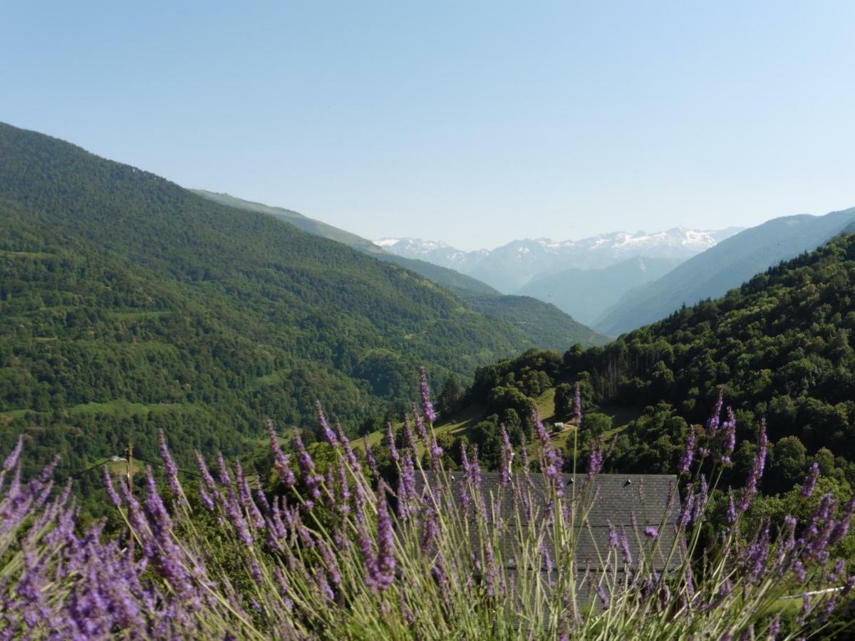 Binos Chalet De Barraou Bed & Breakfast エクステリア 写真